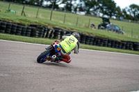 enduro-digital-images;event-digital-images;eventdigitalimages;lydden-hill;lydden-no-limits-trackday;lydden-photographs;lydden-trackday-photographs;no-limits-trackdays;peter-wileman-photography;racing-digital-images;trackday-digital-images;trackday-photos